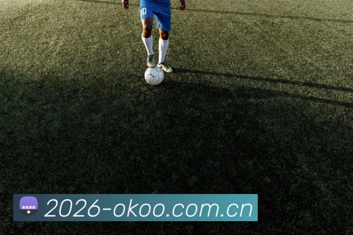 2024用户选择奖